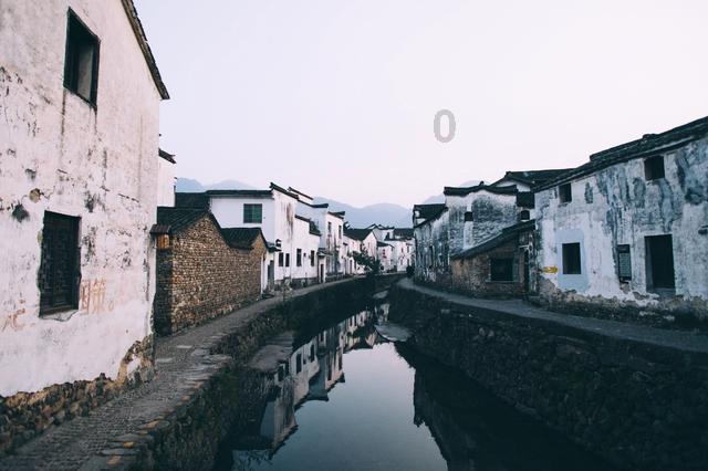饥饿的哈利